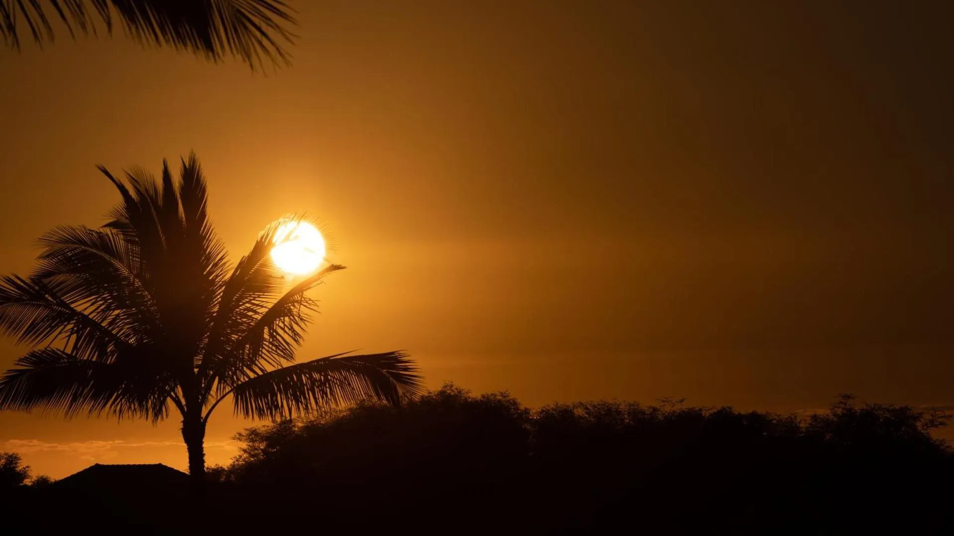 Ohana Spirit Captivating Kamilo 4Br Home With Ocean Views Bikes Waikoloa Holiday home